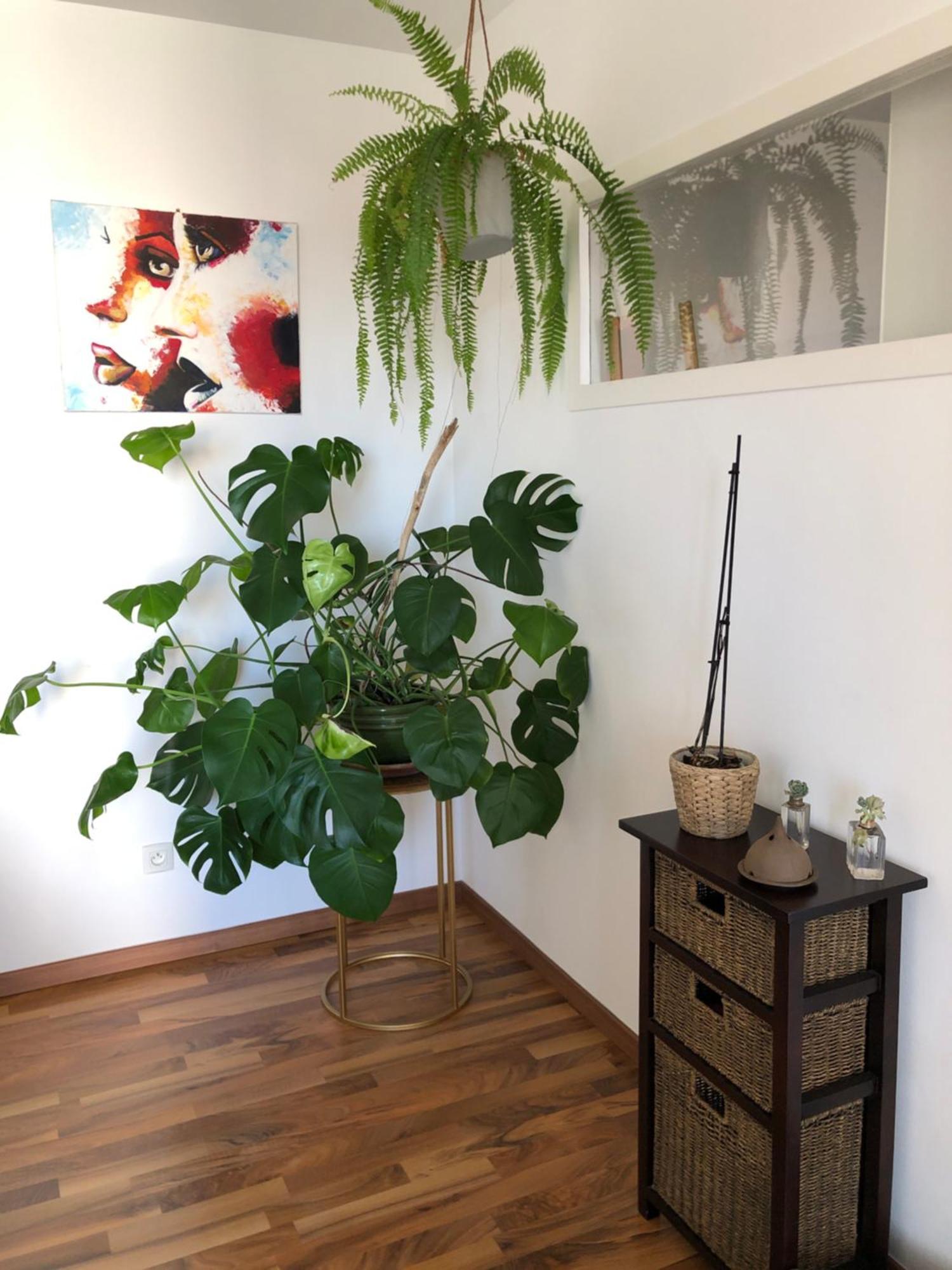 Bel Appartement Nimois Au Calme Avec Balcon 尼姆 外观 照片